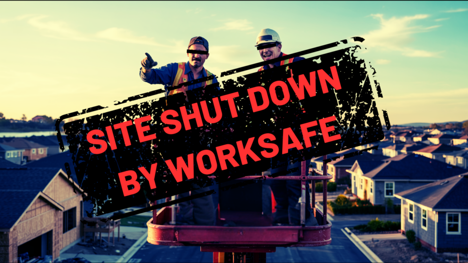 Blog features photos