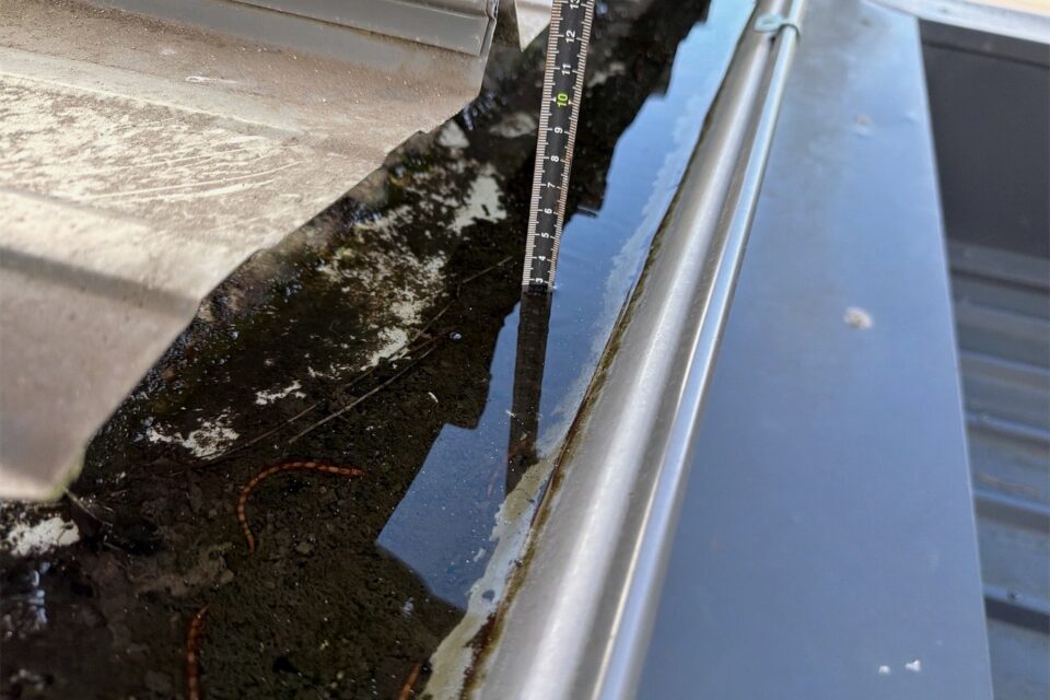 A measuring rule standing in ponded water in a box gutter, with organic debris and staining along the gutter sole