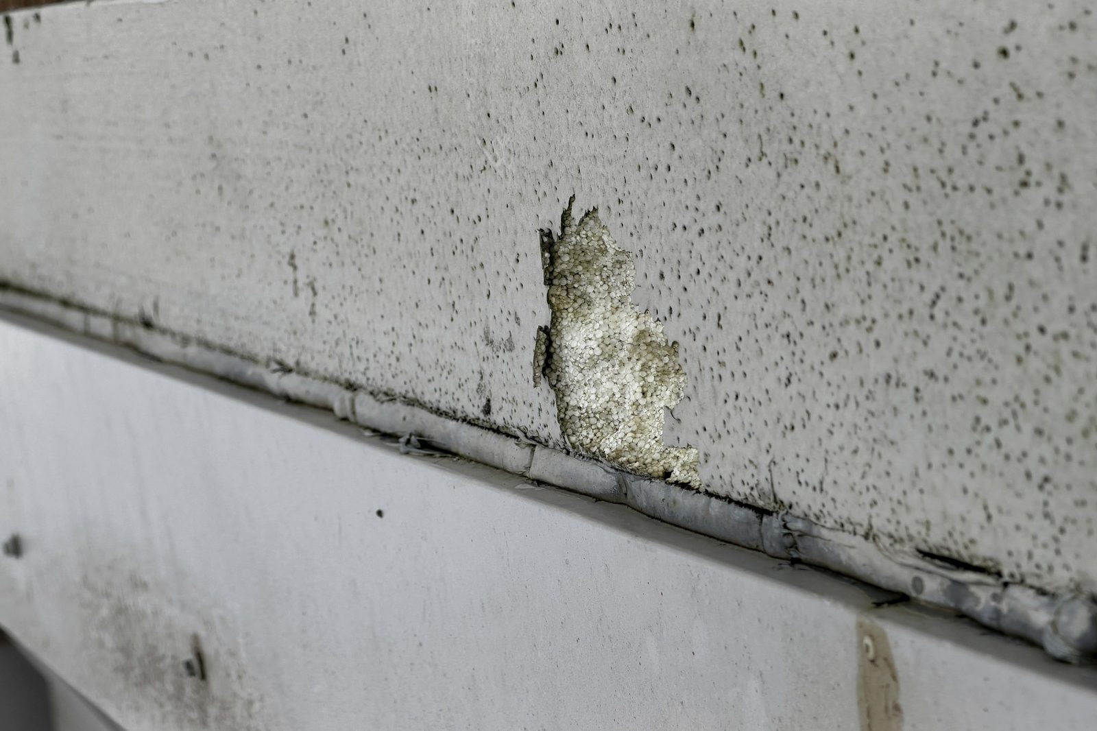 Mould growth along the junction between a wall and its skirting, with a damaged patch above