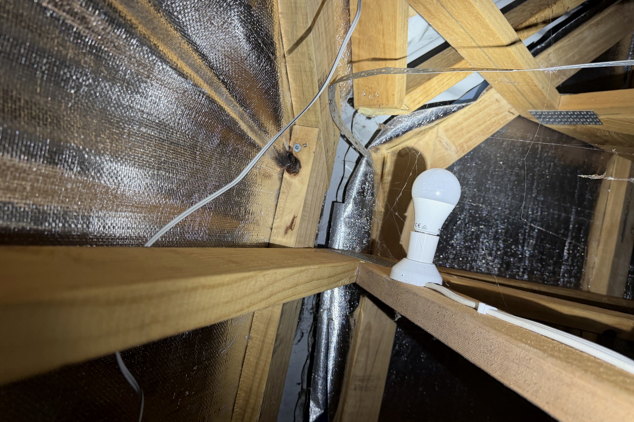 Inside a roof space showing timber roof framing, reflective sarking, cabling draped loose over a chord and a bare lamp resting on a timber member