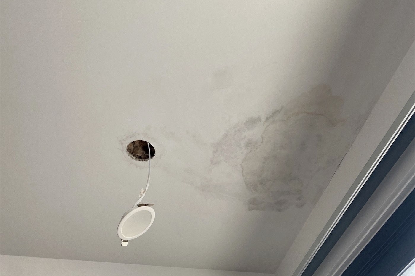 Moisture staining spreading across a ceiling below a wet area