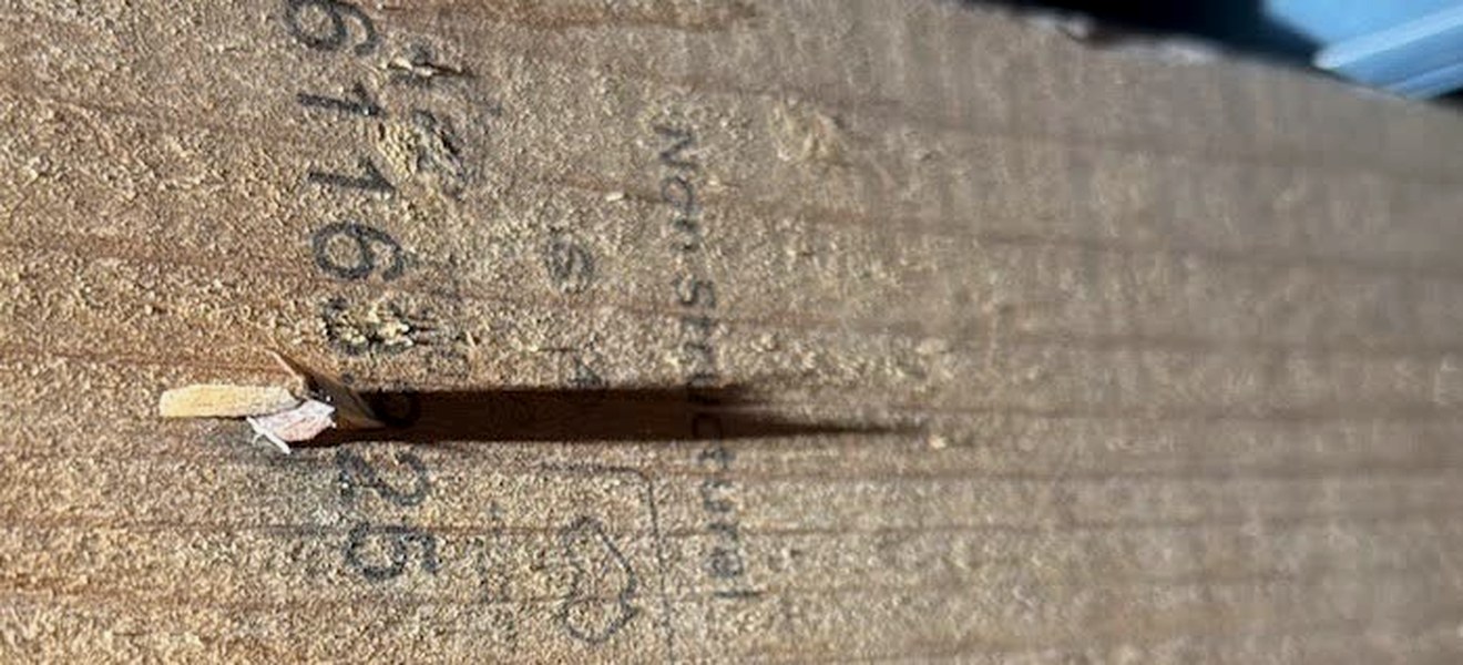 Building inspector examining a defect inside a property during a pre-purchase inspection